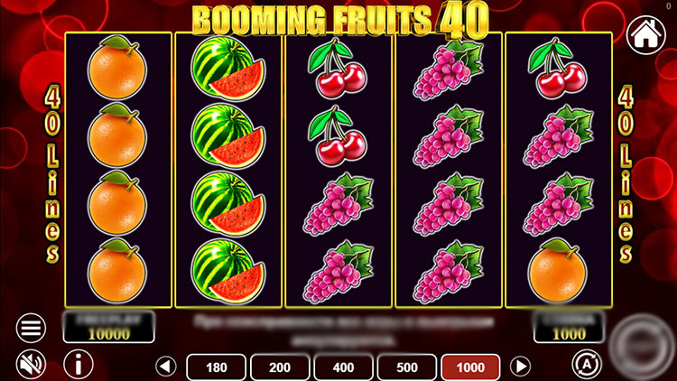 Игровое поле Booming Fruits 40 с яркими фруктовыми символами и сеткой 5x4
