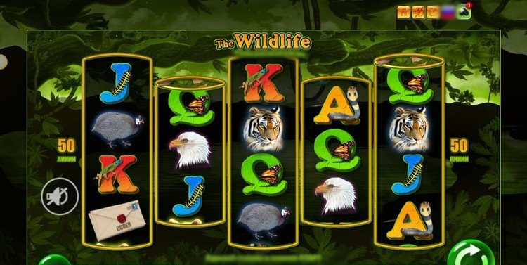 Скриншот игрового автомата The Wildlife на фоне саванны