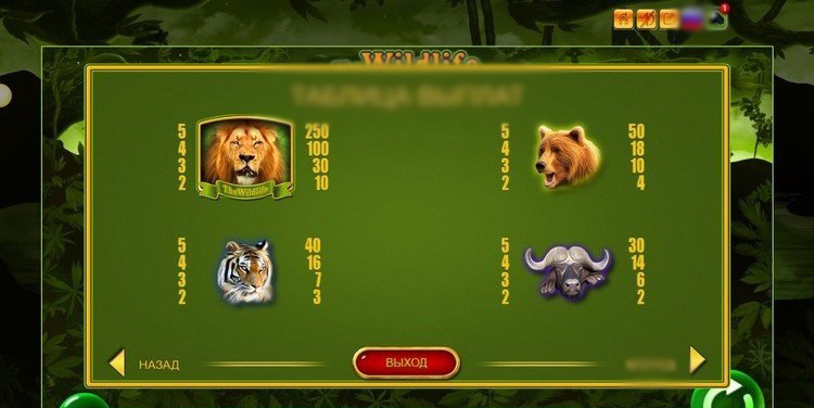Сет символов слота The Wildlife — животные и карточные номиналы