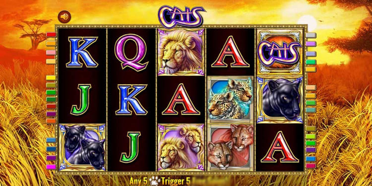 Интерфейс игрового автомата Cats и панель управления'