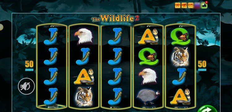 Игровое поле автомата Wildlife 2 с выигрышной комбинацией