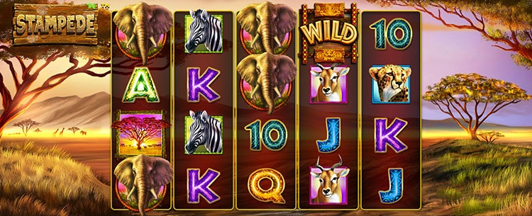Игровое поле слота Stampede на фоне африканской саванны