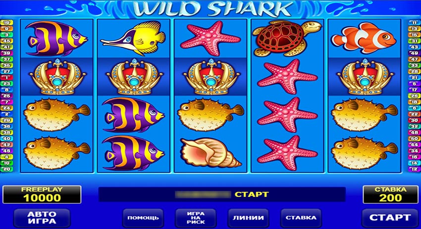 Игровое поле слота Wild Shark