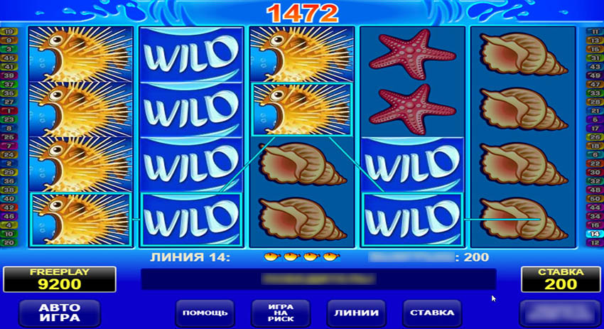 Символы акулы в слоте Wild Shark